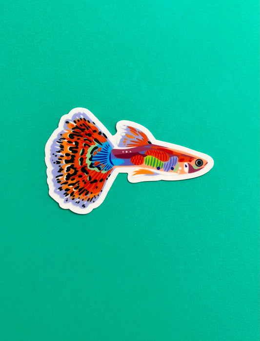 Fancy Orange Guppy Sticker