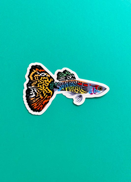 Fancy Tiger Guppy Sticker