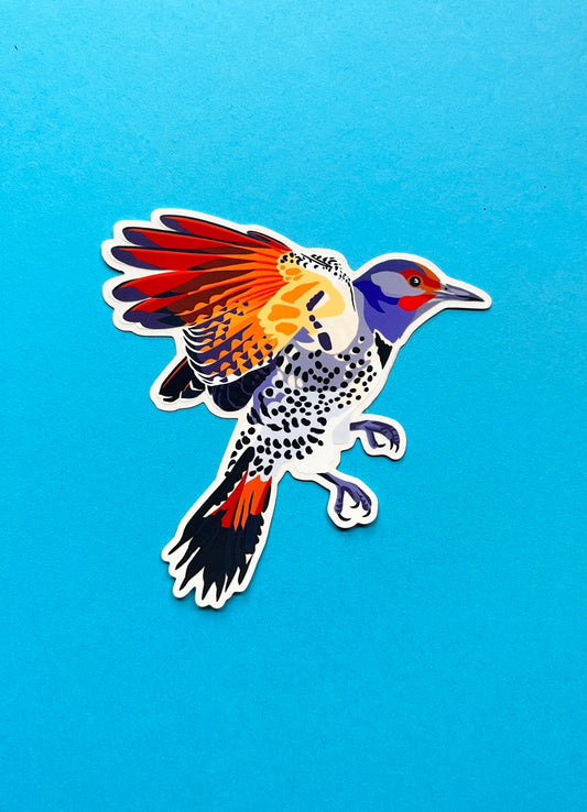 Northern Flicker Sticker